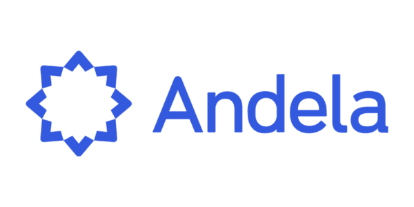 Andela-600x300